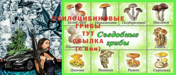шишки Новозыбков
