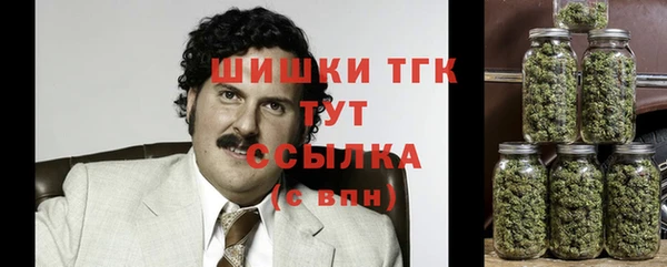 шишки Новозыбков