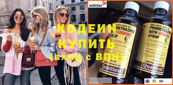 индика Новодвинск