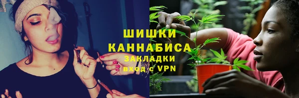 шишки Новозыбков