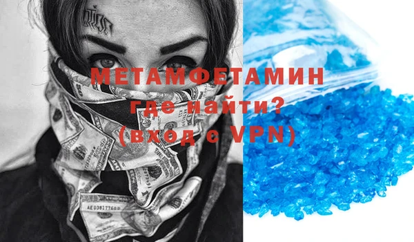 индика Новодвинск