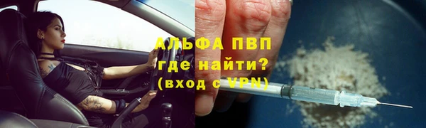 шишки Новозыбков