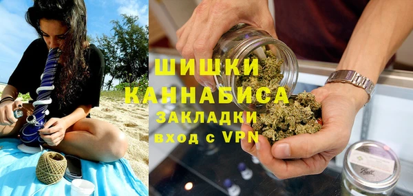 индика Новодвинск