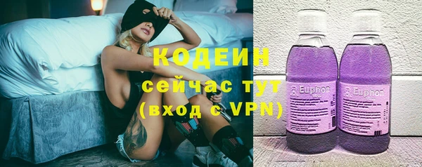 шишки Новозыбков