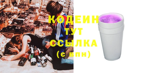 индика Новодвинск