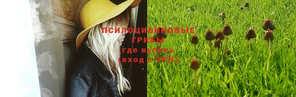 MESCALINE Нефтекумск