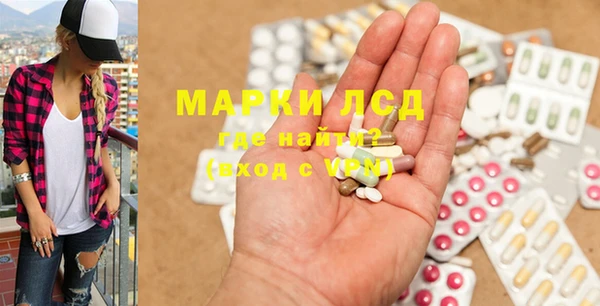 шишки Новозыбков