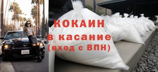 прущие грибы Алагир