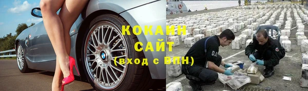 индика Новодвинск