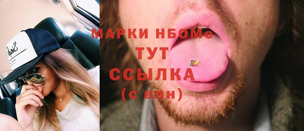 индика Новодвинск