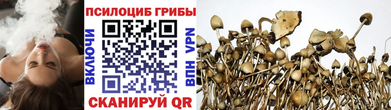 где купить   Архангельск  Псилоцибиновые грибы MAGIC MUSHROOMS 