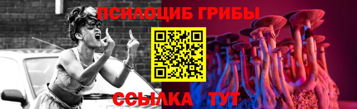 Галлюциногенные грибы Psilocybe Архангельск