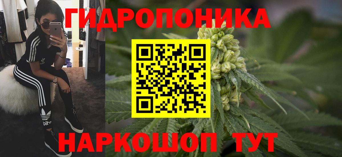 Каннабис White Widow Архангельск
